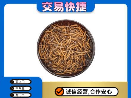 松阳县礼品回收虫草.jpg